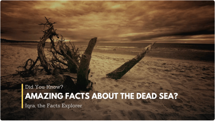 Amazing Facts About The Dead Sea?