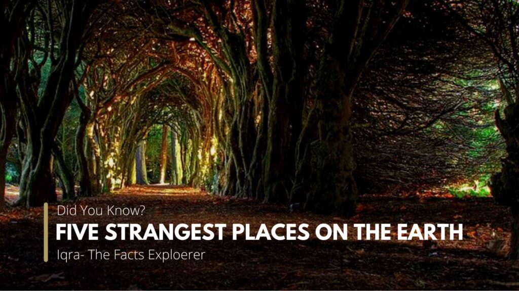 Five Strangest Places on the Earth