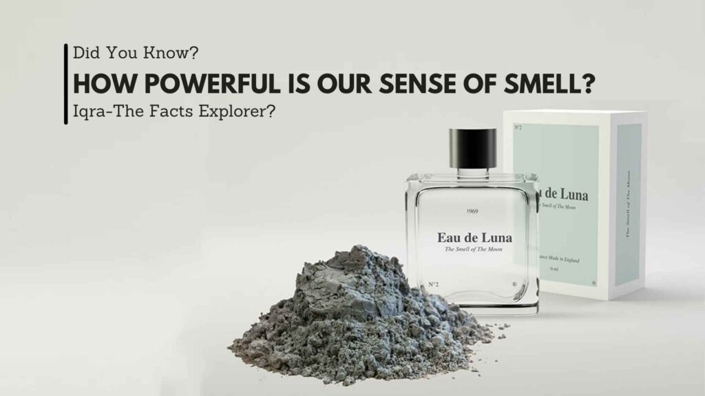 How Powerful is Our Sense of Smell