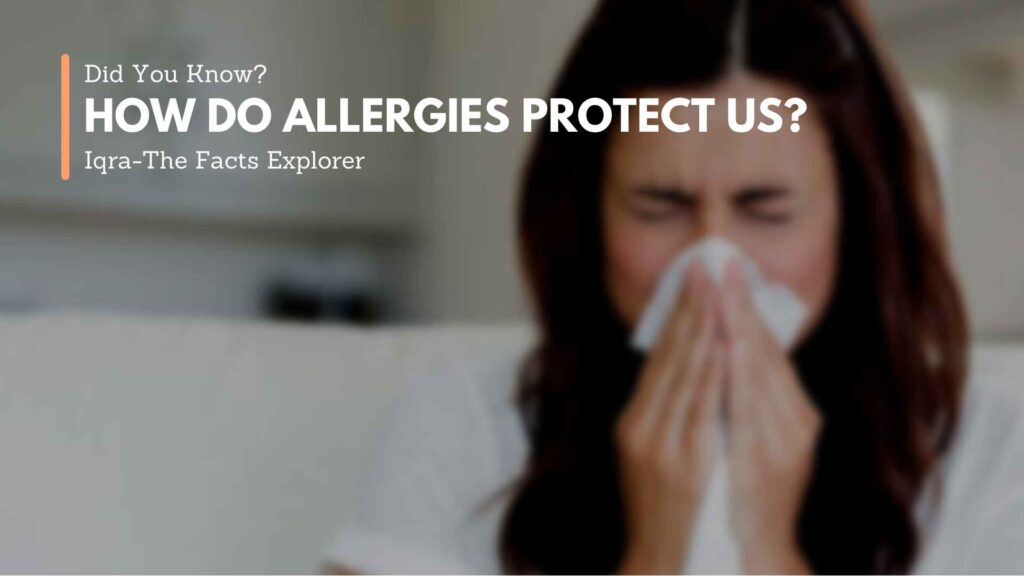How Do Allergies Protect Us