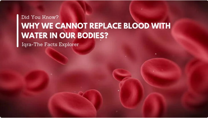 Why We Cannot Replace Blood with Water in Our Bodies