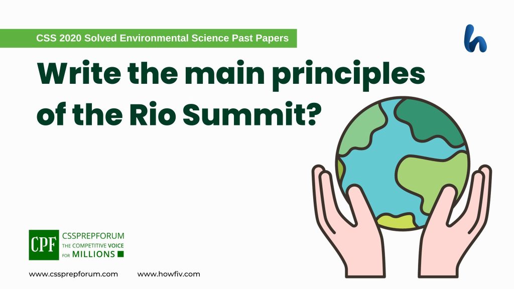 Write the main principles of the Rio Summit?
