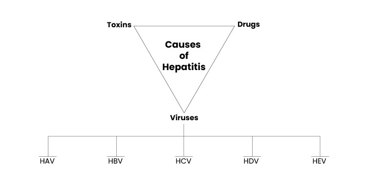 CAUSES OF HEPATITIS
