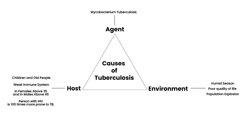 CAUSES OF TB