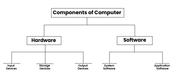 CSS GSA 2024 -11 COMPONENST OF COMPUTER